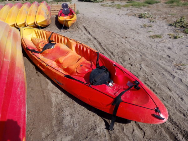 Kayak Doble